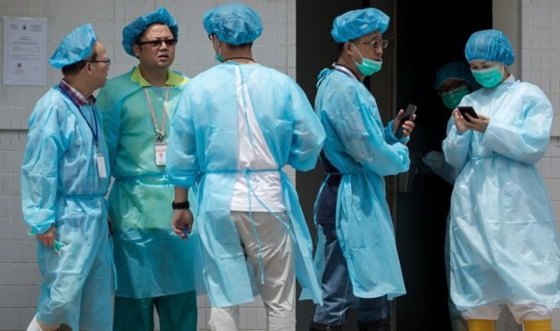 KASUS FLU BABI AFRIKA, HONGKONG MULAI MUSNAHKAN 6000 BABI