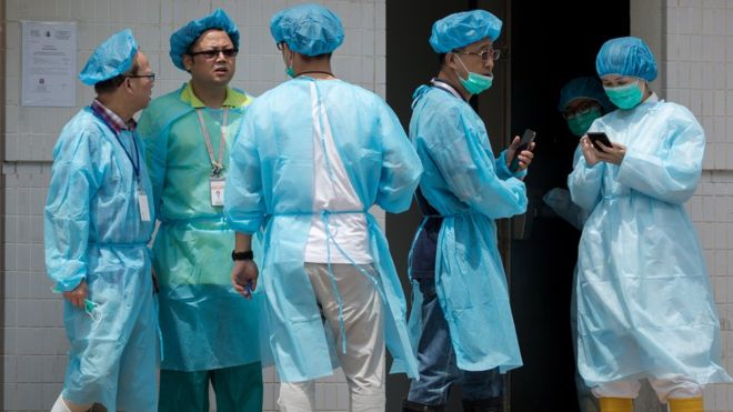 KASUS FLU BABI AFRIKA, HONGKONG MULAI MUSNAHKAN 6000 BABI