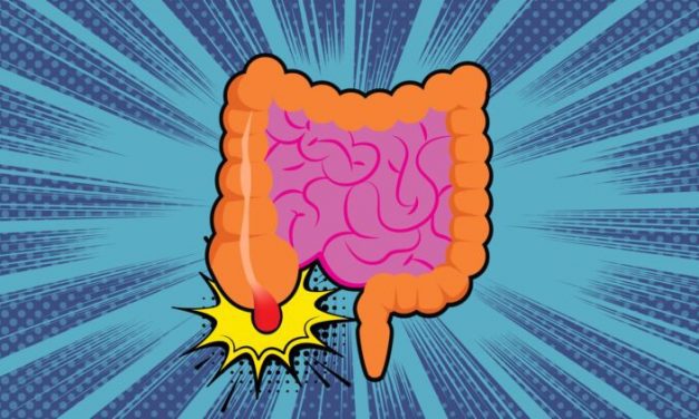 7 MITOS DAN FAKTA TENTANG USUS BUNTU YANG MENYESATKAN. JANGAN PERCAYA ‘KATANYA’