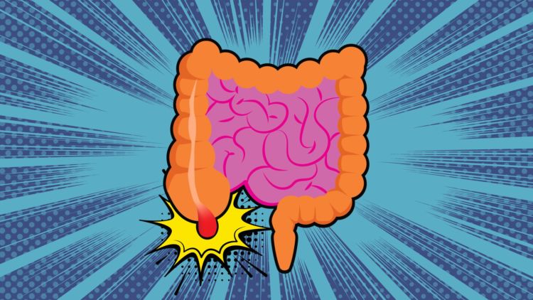 7 MITOS DAN FAKTA TENTANG USUS BUNTU YANG MENYESATKAN. JANGAN PERCAYA ‘KATANYA’