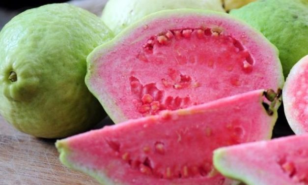 MANFAAT LUAR BIASA JAMBU BIJI BAGI KESEHATAN