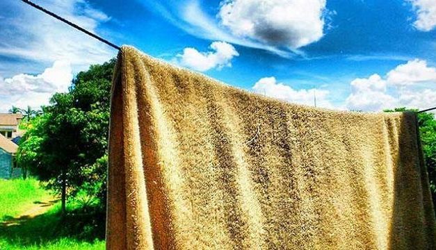 SEBERAPA SERING HANDUK HARUS DI CUCI