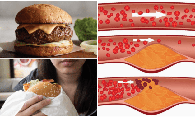 3 HAL YANG TERJADI DI DALAM TUBUH SETELAH MAKAN BURGER DI MULAI SEJAK 15 MENIT PERTAMA