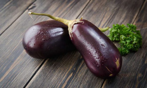 MANFAAT RUTIN KONSUMSI TERONG LALAP