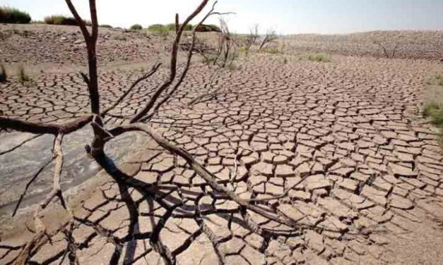 HAL YANG BISA KITA LAKUKAN SAAT MUSIM KEMARAU TIBA