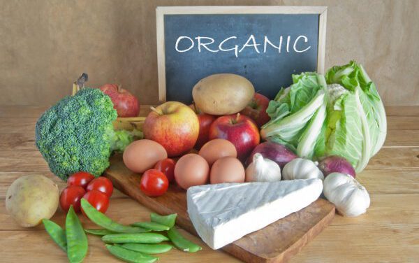 TERAPKAN GAYA HIDUP ORGANIK AGAR SEHAT