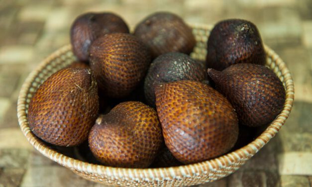 MANFAAT MENAKJUBKAN BUAH SALAK BAGI TUBUH