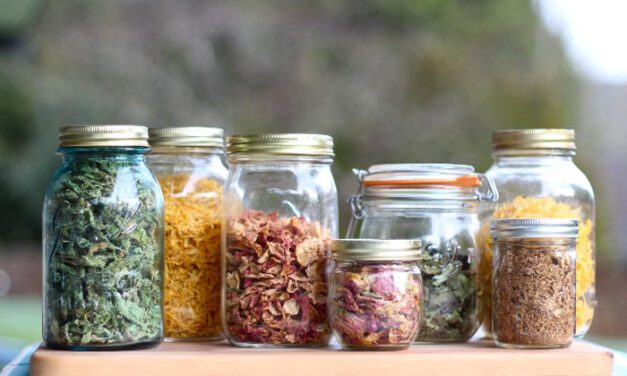 TIPS MUDAH MEMBUAT BAHAN MAKANAN LEBIH TAHAN LAMA DISIMPAN