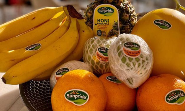 RAHASIA MENJAGA KESEHATAN DI MASA PANDEMI